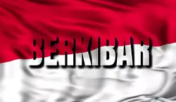 berkibar 