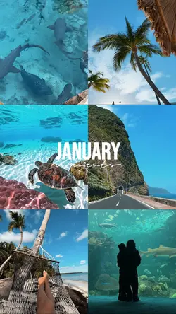 January moments 2026