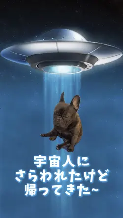 UFOからの帰還✨