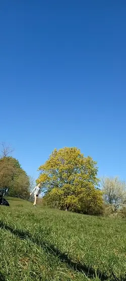 slowmo