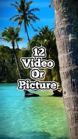 12 video new templat
