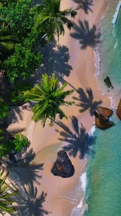 cinematic beach