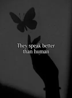 they speak better