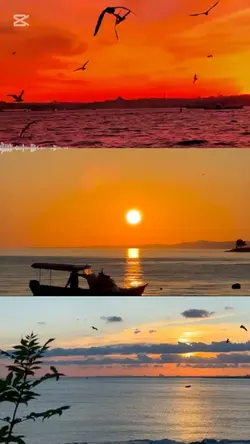 manzara video