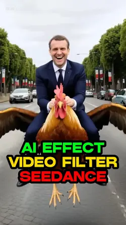 SEEDANCE EFFECT