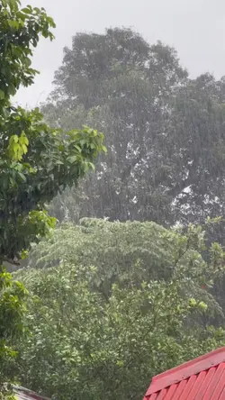 Rainy season