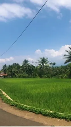 Jogging