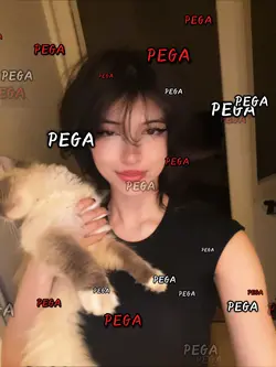 PEGA AQUI