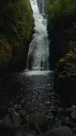 nature, therapy