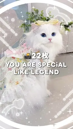 🎵YOU ARE SPECiAL
