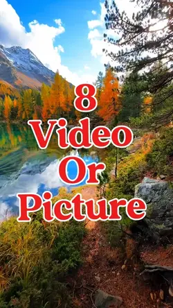 8 video or picture 