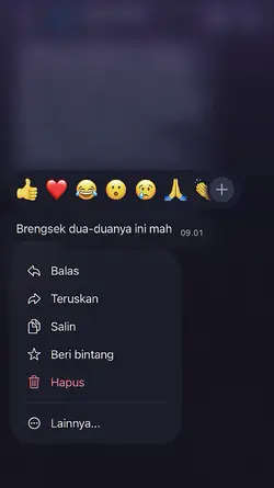 Versi ber 2