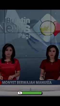 Video Seekor Monyet