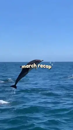 march recap