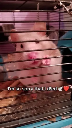 Pet that d!ed