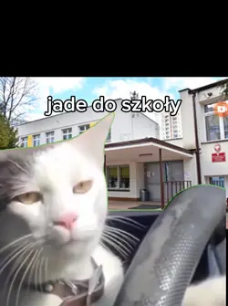 mój dzień