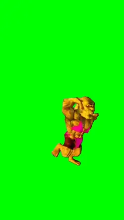 Shrek Dancing 