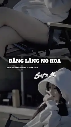 Bằng lăng nở hoa 