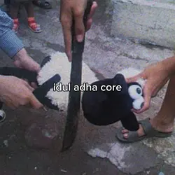 idul adha core