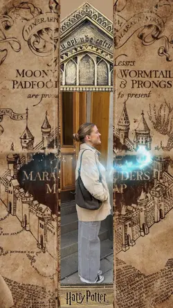 Frame harry potter