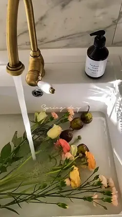 Blooming Day