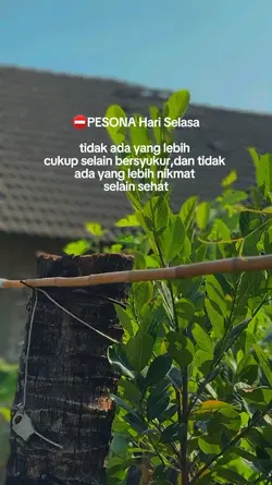 story hari selasa