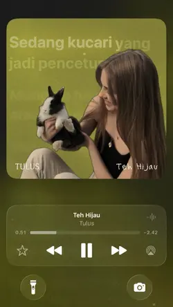 Teh Hijau TULUS
