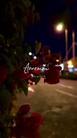 Annem❤️