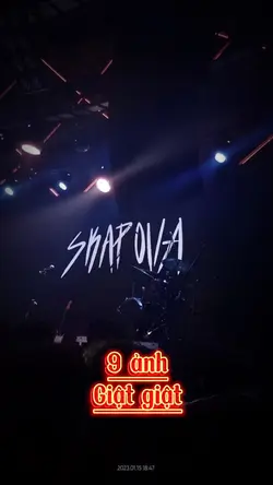 Mẫu 9 ảnh