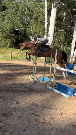 tail flick 🙂‍↕️