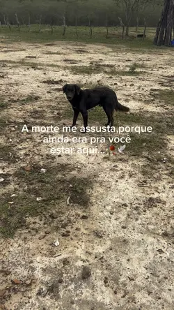 Luto