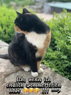 Sommerferien 🥳🥳🥳 !!!