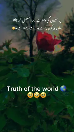 Urdu poetry status