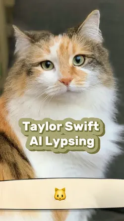 Cat Taylor Swift