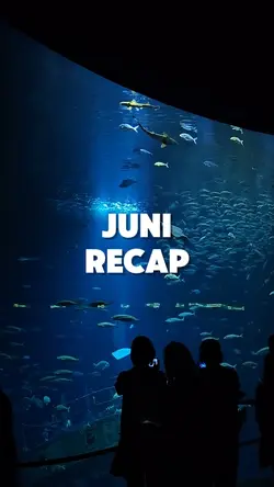 Juni recap jj