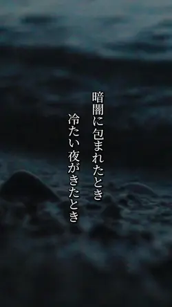 画像＆動画 7枚