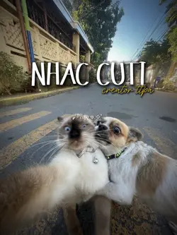 nhạc cuti