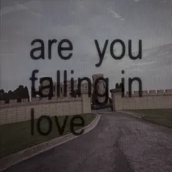 Falling in love