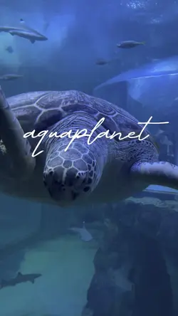 aquaplanet
