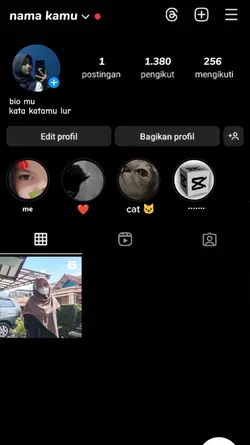 prank ig