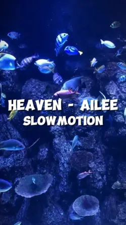 Slowmotion