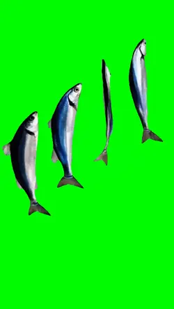 Yodeling Fish