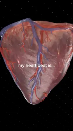 my heart beat is...