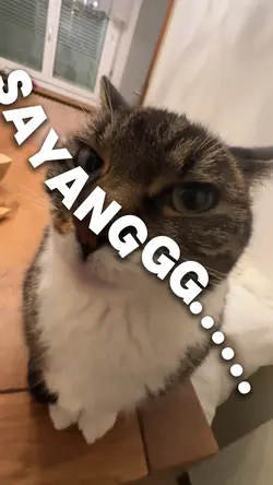 KANE SAYANGGG