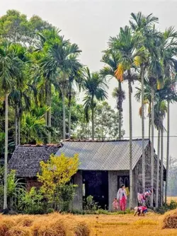 không lời