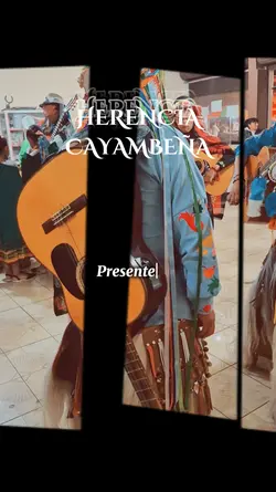 Presentación músico