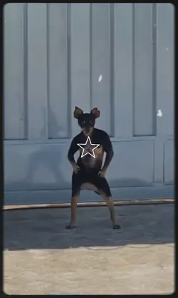 cachorro dançando