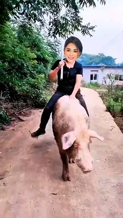CHĂN LỢN