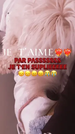 Chien😖😖😭😭