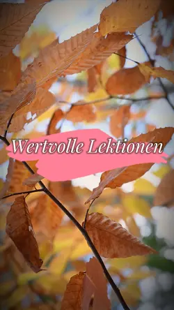 Wertvolle Lektionen